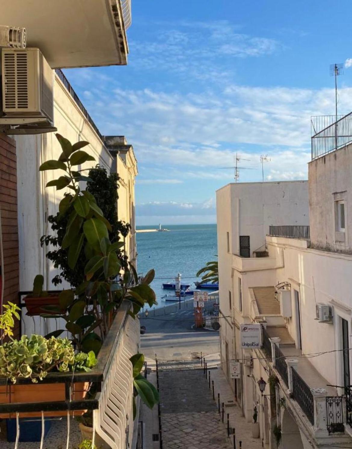 Casa Tramontana *